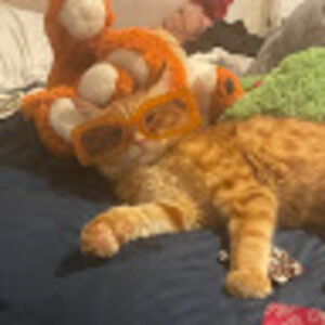 Meet your Posher, Brittany